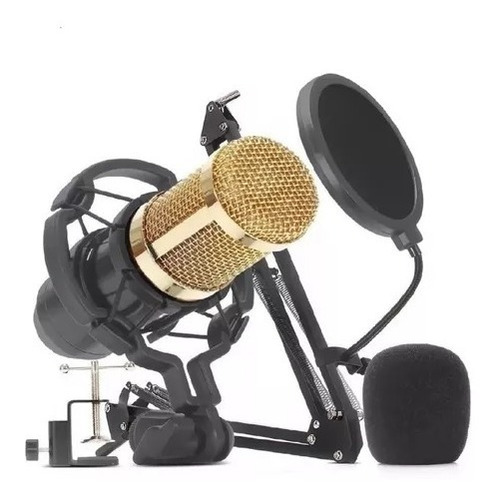 Microfone Condensador Leboss Bm-800 Profissional - Oferta 