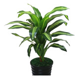 Árvore De Dracena Folhagem Plantas Artificiais Pau Brasil