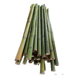 40 Varas De Bambú Natural Jardin Cerca 120 Cm / 2-3cm Grosor