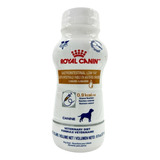 Royal Canin Icu Liquid Gi Low Fat Canine 4 Botellas