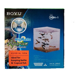 Betera Boyu Mba1 Betta  Acuarios Peceras Peces