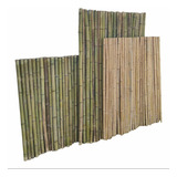 Bambú/caña De Tacuara Misionera Medida 2,50 M X 10 Unidades