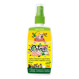 Catnip Spray Natural Freshly 