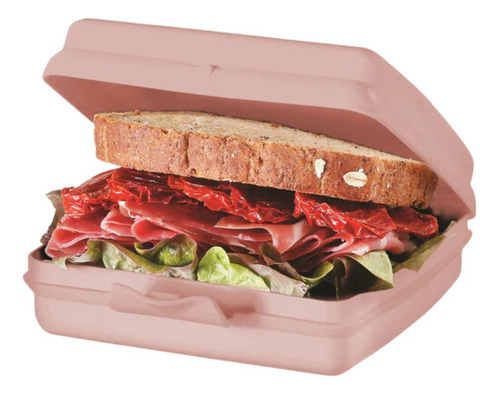 Sandwichera Cuadrada 650 Ml Tupperware® Libre Bpa