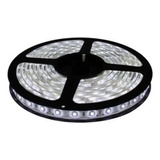 Cinta Led 5050 Rollo X 5 Mts