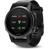 Reloj  Smartwatch Garmin Fenix 5s Multisport Negro Original