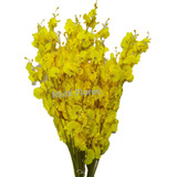 Orquídeas Chuva De Ouro 50 Galhos Grandes - Artificial Flor