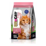 Concentrado Gato Br For Cat Pure Adulto Salmon 1 Kg