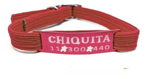 Collar Clásico Ó Elàstico + Chapita Pasante Gato Pasador  