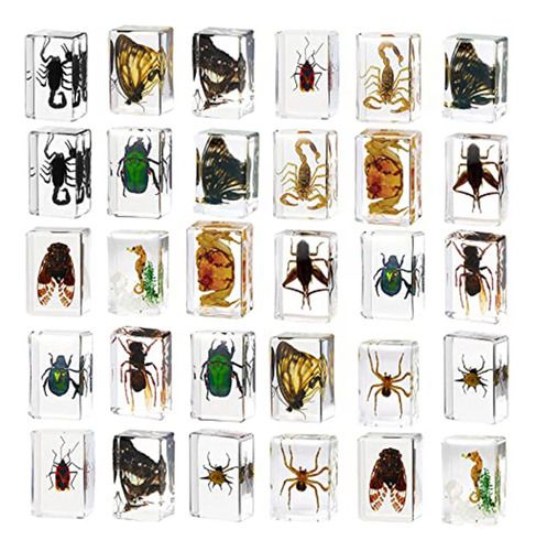 30 Pisapapeles Resina Para Especímenes Insectos, Colec