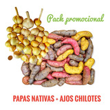 (5 Kg) Papas Nativas Chilotas + Ajos Chilotes (1 Kg)