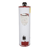 Boiler Deposito Gas Lp 60l 2.5 Servicios Encendido Piezoeléc Color Blanco