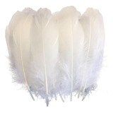 Plumas Decorativas Para Manualidades Color Blanco X20 Und