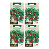 4x Sementes De Tomate Cereja (samambaia) Topseed