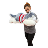 Perro Peluche Lobo Siberiano Acostado Importado Grande 70cm