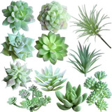 X Plantas Artificiales Suculentas Decorativas Sin Macetas,