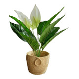 Planta Con Flores Blancas De Aspecto Natural 60cm Decoracion