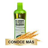 Shampoo Germen De Trigo, Jalea Real Y Manzanilla 500 Ml