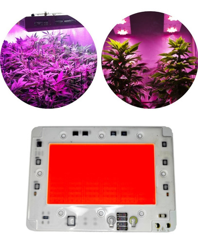 Led Full Spectrum Cultivo Plantas Invernadero 50w 220v 13510