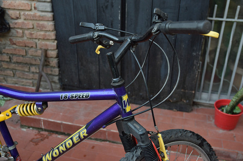 Bicicleta Mountain Bike Rodado 26 (cambios Shimano 18 Vel)