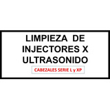 Limpieza De Cabezal Epson Serie Xp Y L X Ultrasonido