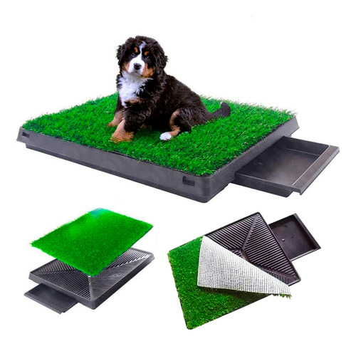 Bandeja Alfombra Sanitaria Para Perro Grande 61x49 Cm