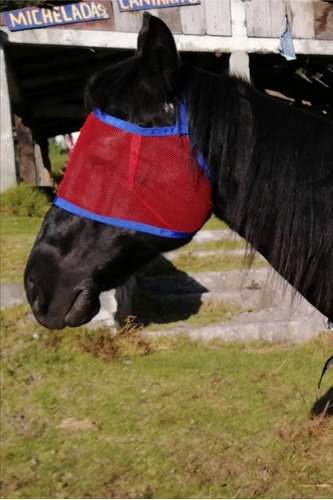 Mascara Para Caballos/antimosca