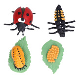 Figuras De Vinilo Realista Growth Cycle Model Life Ladybug