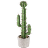 Cactus Exoticos Artificial Con Maceta De Ceramica De 33 Cm