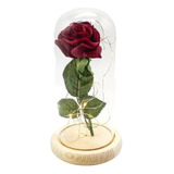 Rosa Eterna Artificial Encapsulada Luz Led San Valentín Base