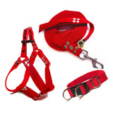 Kit Perro Pretal + Correa + Collar Paseo Educación Adiestra 