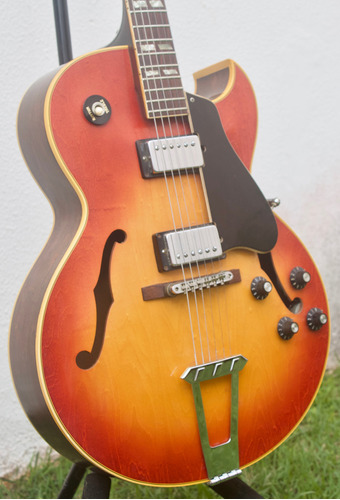 1970 Gibson Es 175 Com Case