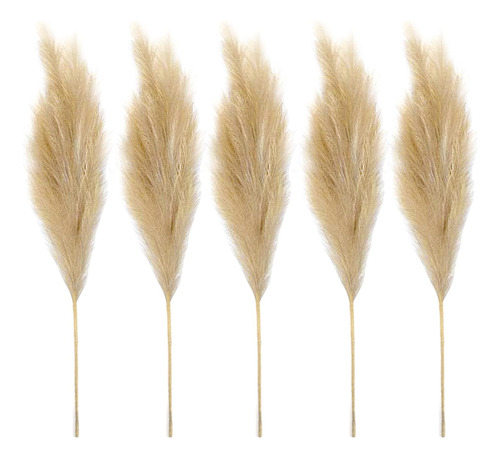 Faux Pampas Grass, 70cm Marrón Claro Marrón Claro