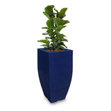 1 Vaso Planta Grande Alto Decorativo De Polietileno T 75x40