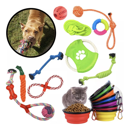 Kit Brinquedos Para Cachorro Bebedouro Vida Mansa Comedouro