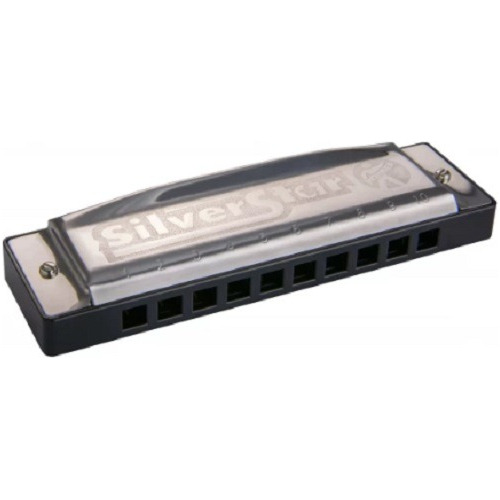 Harmonica Hohner Silver Star 504/20 Gaita Em D Ré