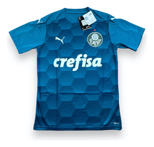 Camisa De Futebol Palmeiras 2020 2021 Goleiro Ii