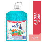 Limpiador Aromatizante Poett® Alegra Tu Día 9 Lts