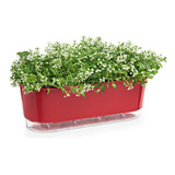 Jardineira Vaso Raiz Auto Irrigável Vermelho Horta Gourmet