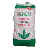 Semilla Cesped Festuca Alta Turf Type Excel 2 25kg Picasso