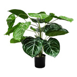 Planta Artificial Decorativa Caladium Con Macetero De 60cm