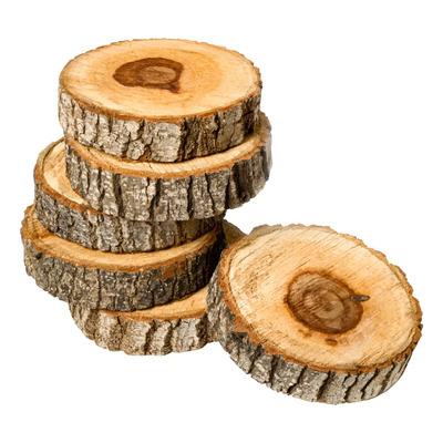 Bases De Madera Para Centros De Mesa Rústicas 11 Pza 20cm Natural