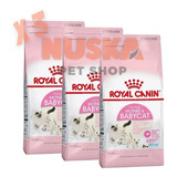 Royal Canin Mother & Babycat 1.5 Kg 3 Unidades Madre Gatito