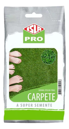 Sementes De Grama Carpete Folha Fina Pacote Pro 100g Isla 