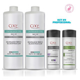 X4: Cauterizador Capilar 2 Lt + Shampoo Neutro + Vitalizante