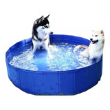 Piscina Plegable Para Mascotas 120cm X 30cm Xl Resistente