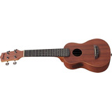 Ukulele Ibanez Uks100-opn Nat