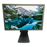 10 Monitores Hp 24 Pulgadas Full Hd Vga Dvi Display Port 