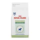 Royal Canin Adulto Raza Pequeña 20kg A Granel Juguete Gratis