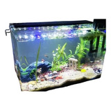 Acuario Completo 23 L + Accesorios+ 8 Peces + Pack  Alimento